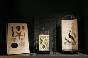 MyPrints