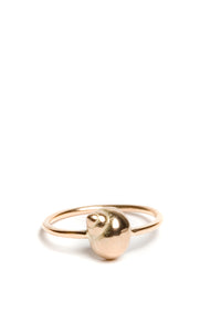 MyNature Ring Spiral Shell Medium — Gold 14k